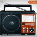 Radio portabil LEOTEC LT-C6UAR